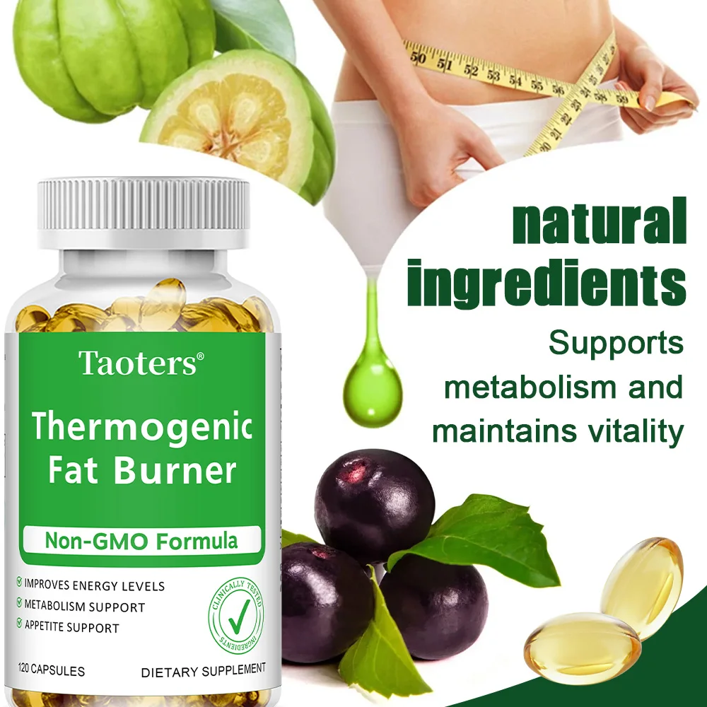 Green Tea Extract Fat - 녹차 추출물 - 사과 식초 함유,