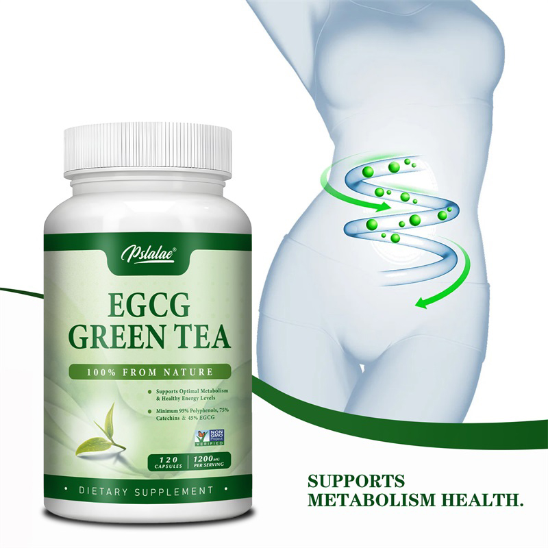 Green Tea Extract Fat - EGCG 녹차 추출물-신진 대사 촉진 및