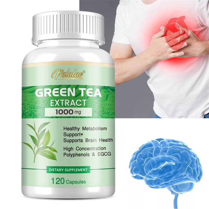 Green Tea Extract Fat - 녹차 추출물 - 폴리페놀 98%, EGCG