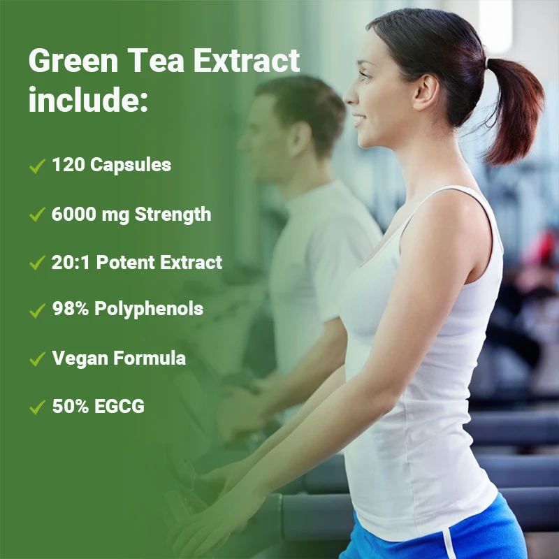 녹차 캡슐 - 신진대사 촉진, 뱃살 연소, 식욕 억제제 - Green Tea Extract Fat 리뷰 및 가격