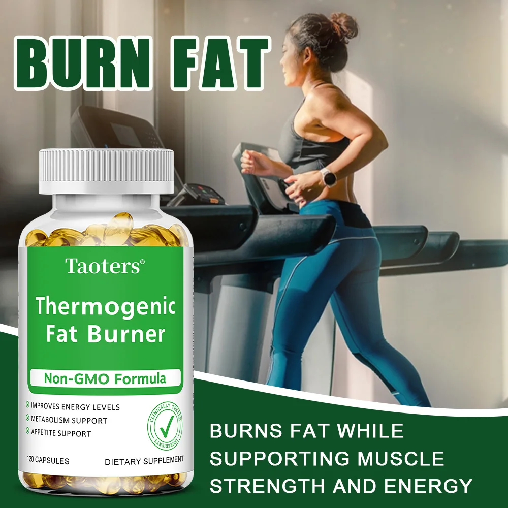 녹차 추출물 - 사과 식초 함유, 지방 연소 및 억제, - Green Tea Extract Fat 리뷰 및 가격