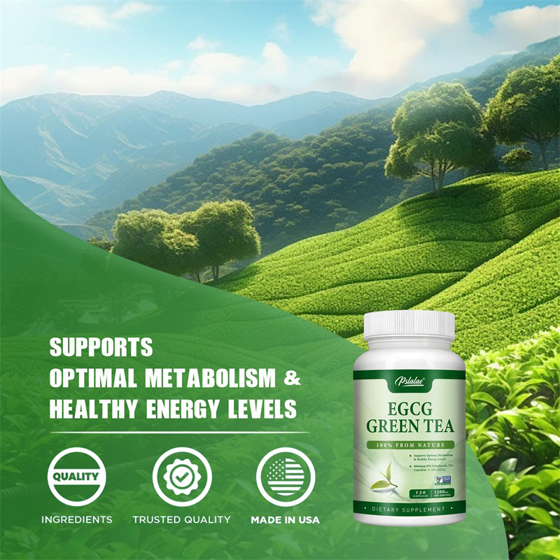 EGCG 녹차 추출물-신진 대사 촉진 및 건강한 지방  - Green Tea Extract Fat 리뷰 및 가격