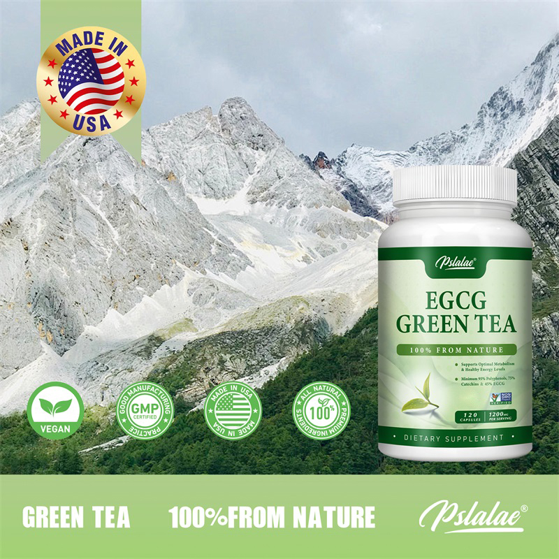 EGCG 녹차 추출물-신진 대사 촉진 및 건강한 지방  - Green Tea Extract Fat 리뷰 및 가격