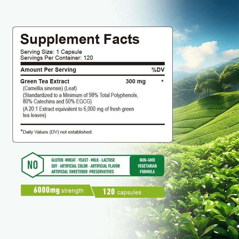 녹차 캡슐 - 복부 지방 연소제, 식욕 억제제, 신진대 - Green Tea Extract Fat 리뷰 및 가격