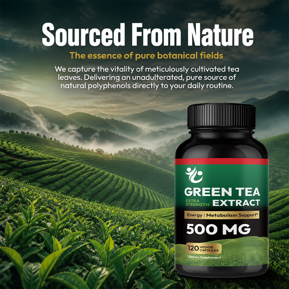 녹차 캡슐 - 신진대사 촉진, 건강한 지방 연소 지원, - Green Tea Extract Fat 리뷰 및 가격