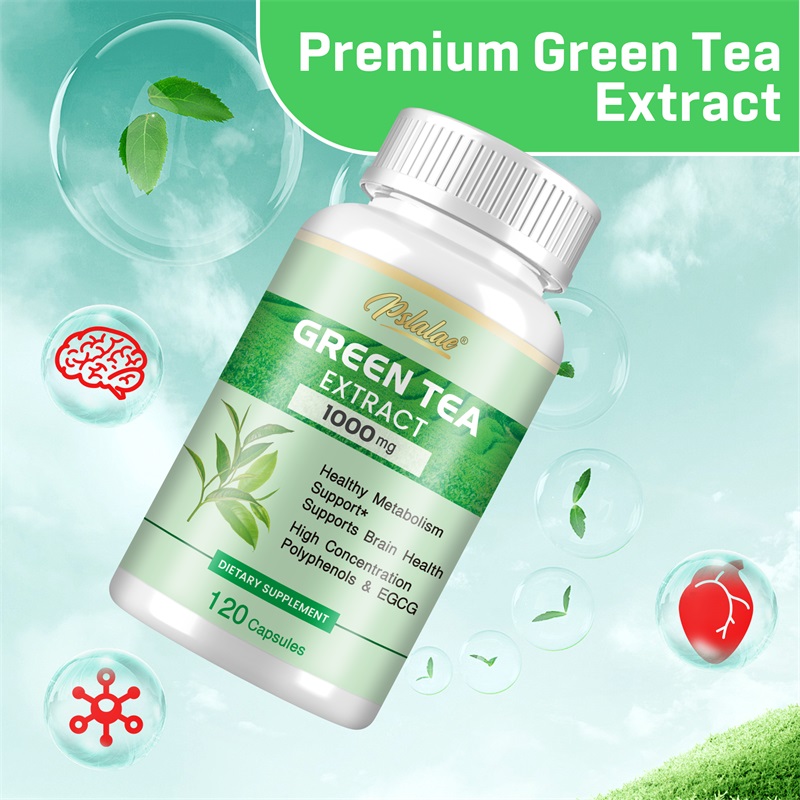 녹차 추출물 - 폴리페놀 98%, EGCG 50% 함유 - Green Tea Extract Fat 리뷰 및 가격