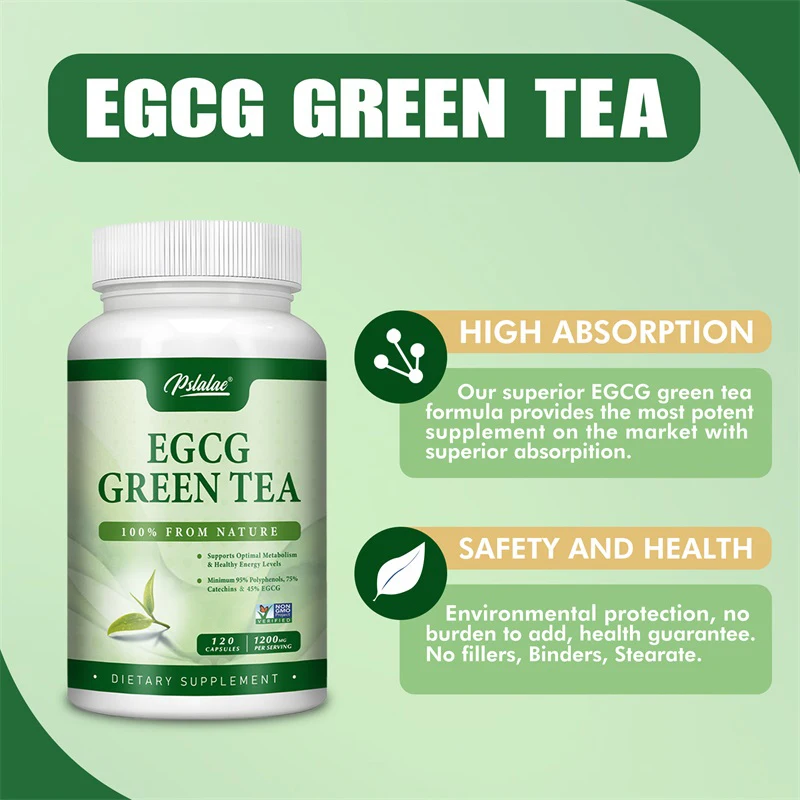 EGCG 녹차 추출물 - 신진대사를 촉진하고 건강한 지 - Green Tea Extract Fat 리뷰 및 가격